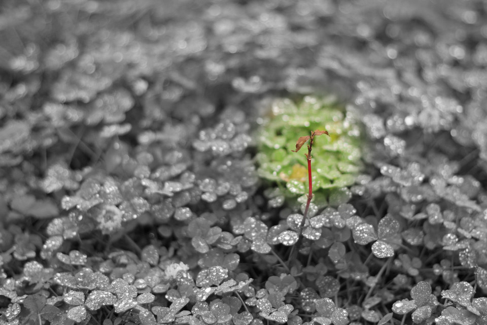 绝望?+-+于飞kami+-+图虫摄影网