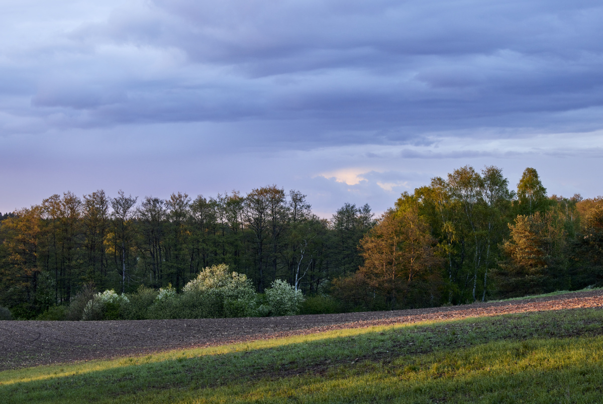 <em>姿妹</em> - 人像, 色彩, 佳能 - 优酱 - 图虫摄影网
