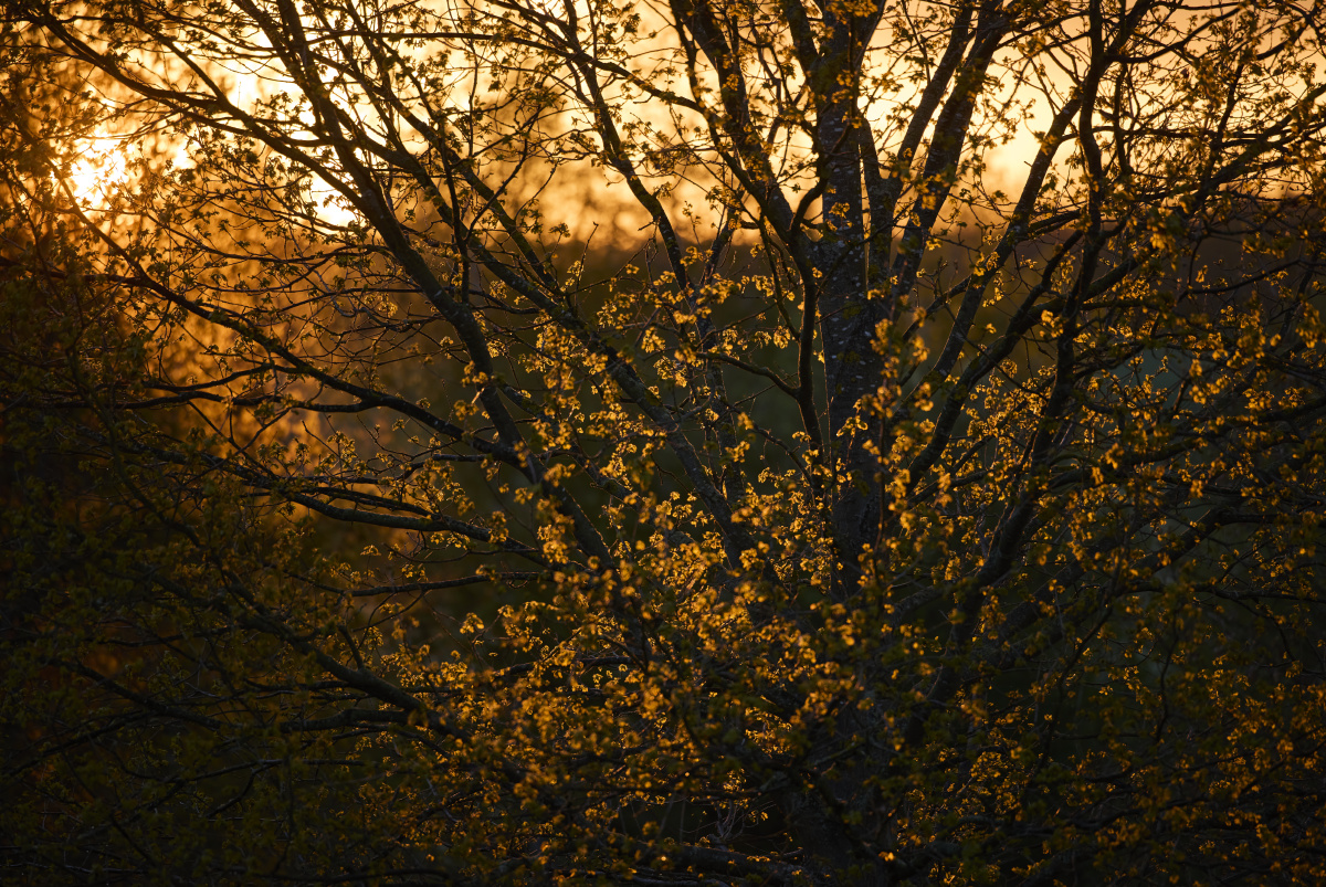 <em>姿妹</em> - 人像, 色彩, 佳能 - 优酱 - 图虫摄影网