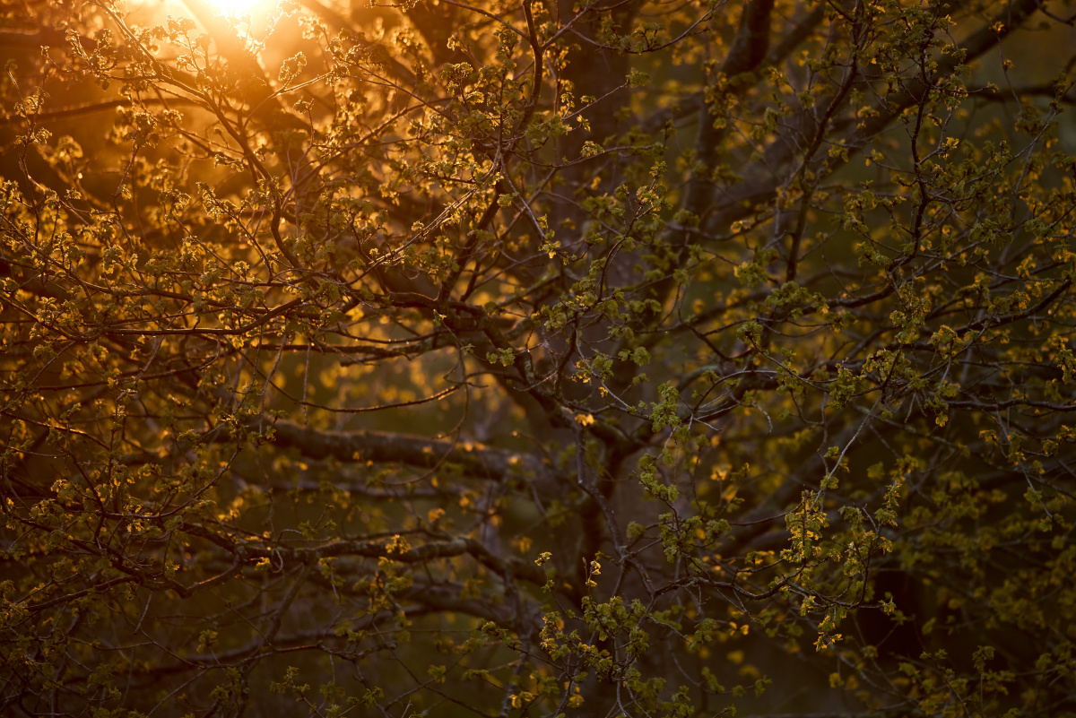 <em>姿妹</em> - 人像, 色彩, 佳能 - 优酱 - 图虫摄影网