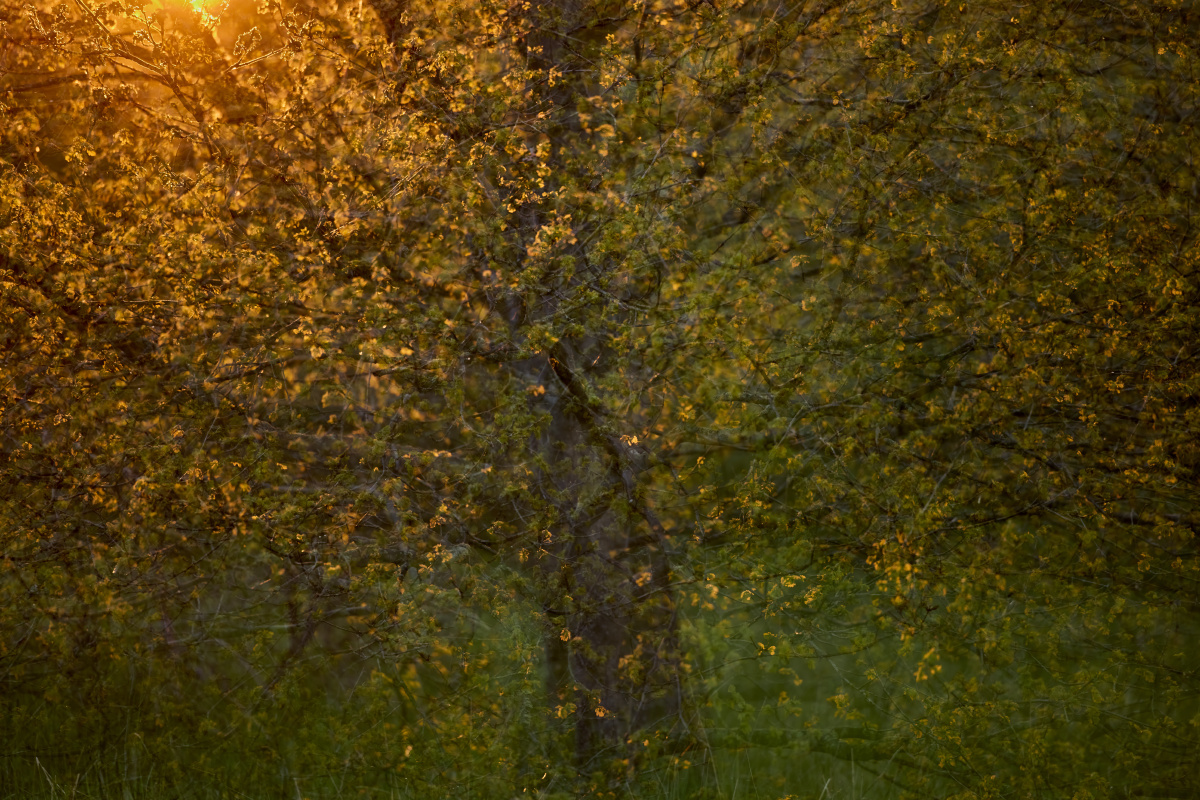 <em>姿妹</em> - 人像, 色彩, 佳能 - 优酱 - 图虫摄影网