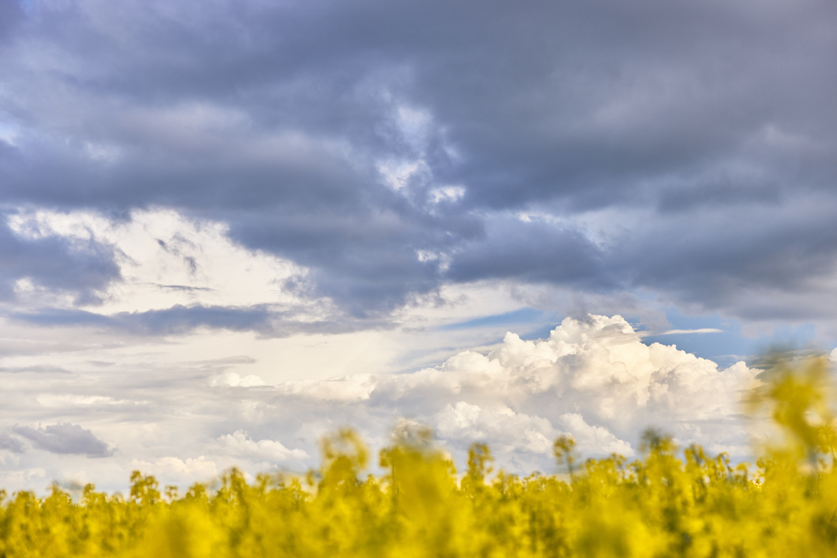 <em>姿妹</em> - 人像, 色彩, 佳能 - 优酱 - 图虫摄影网