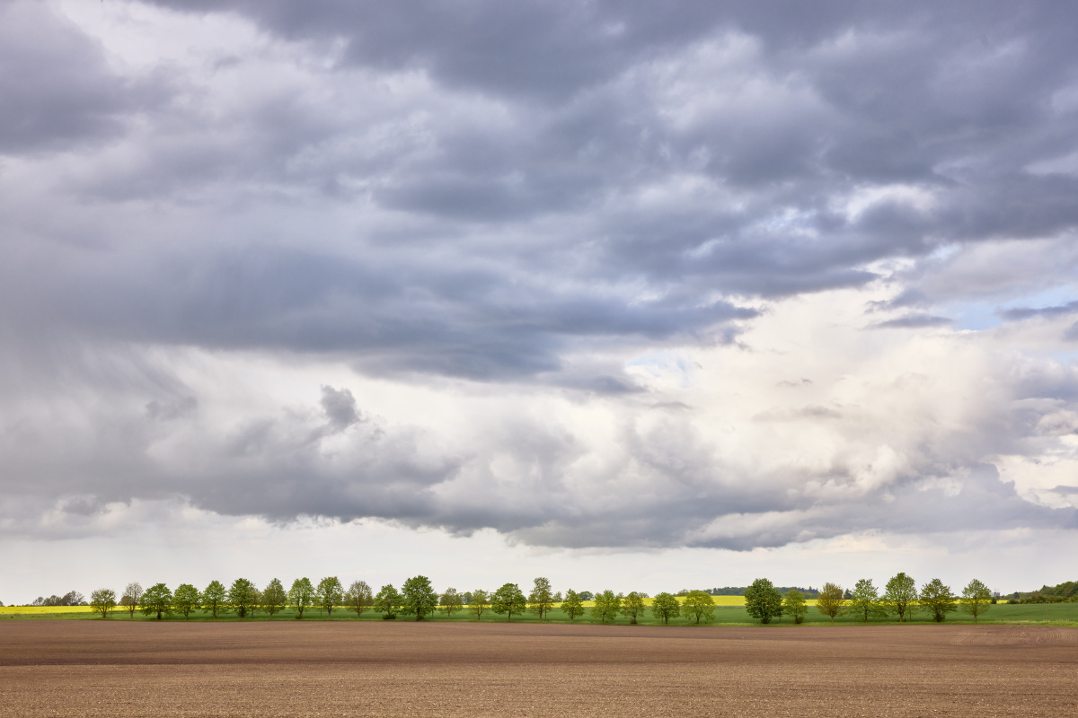 <em>姿妹</em> - 人像, 色彩, 佳能 - 优酱 - 图虫摄影网