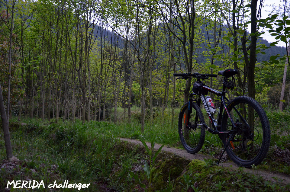 美利达 挑战者320 - 我的骑行日志 我与挑战者。