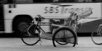 IMGP9502bw