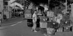 IMGP9051bw