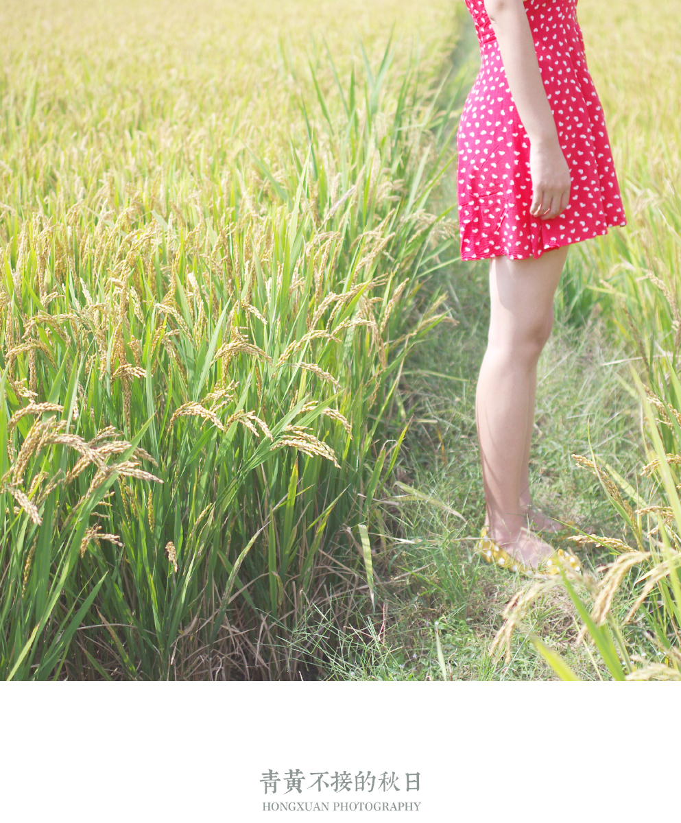 青黄不接的秋日 - 人像, 植物, 小清新, 宾得 - 洪