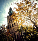 Walburg Church