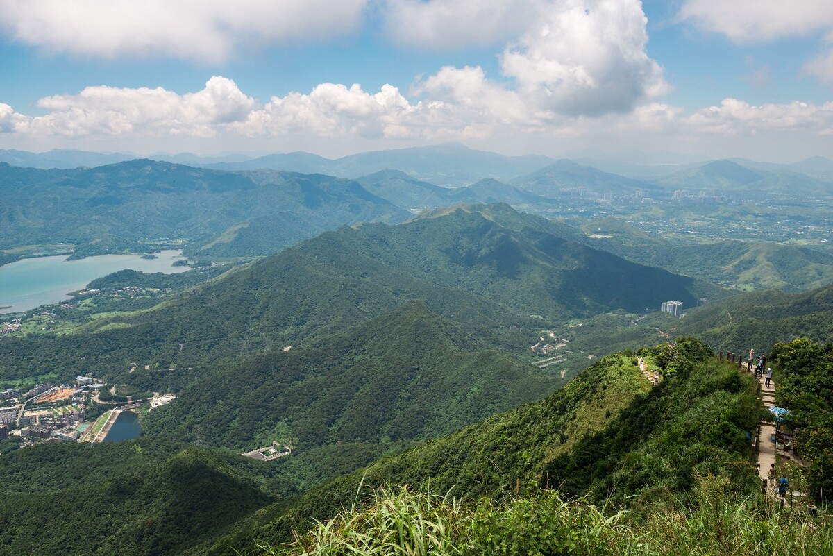 以冠为名 - 图虫摄影网