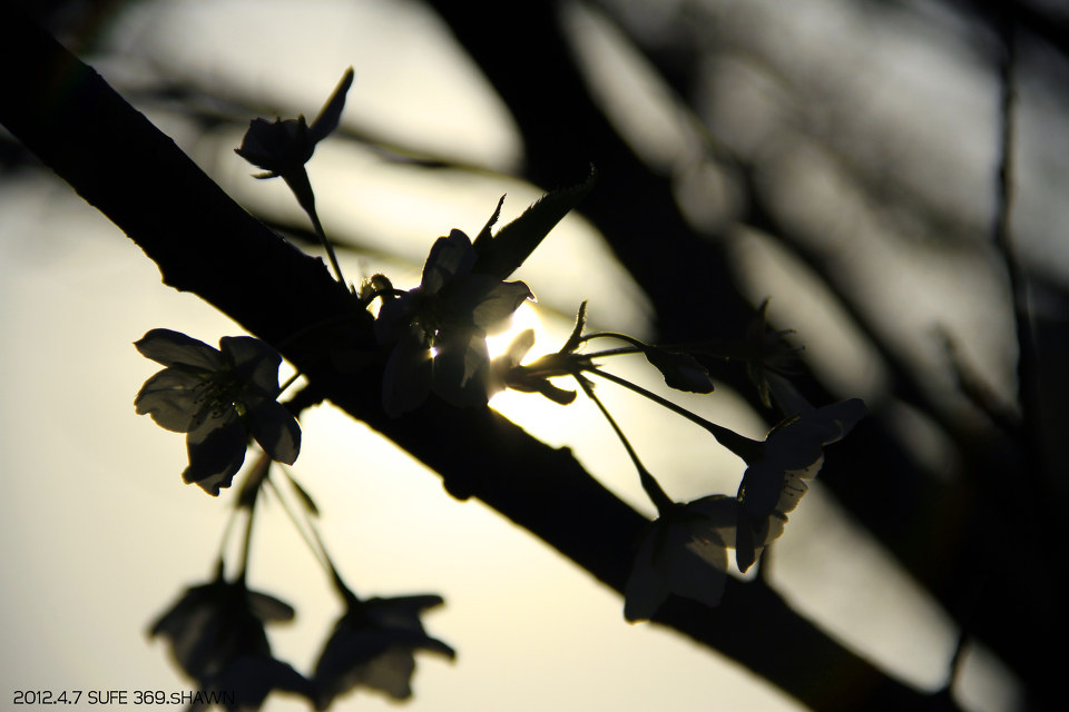 但愿老死花酒间,不愿鞠躬车马前,去他妈比的爱
