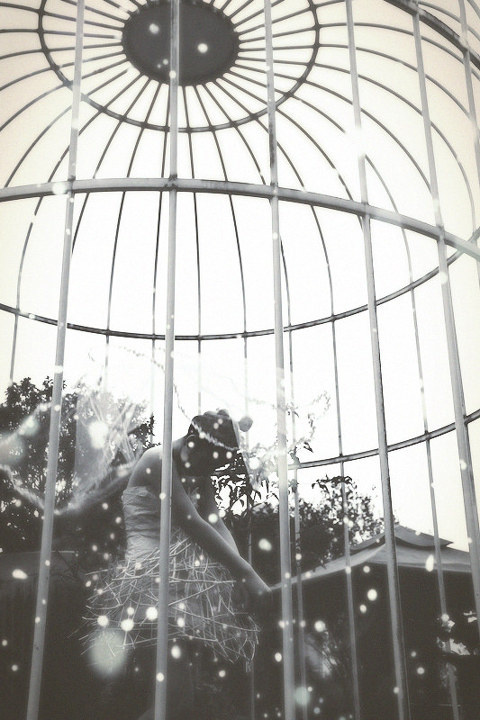 qqqqqqq.jpg - 阿点兔 - 图虫摄影网