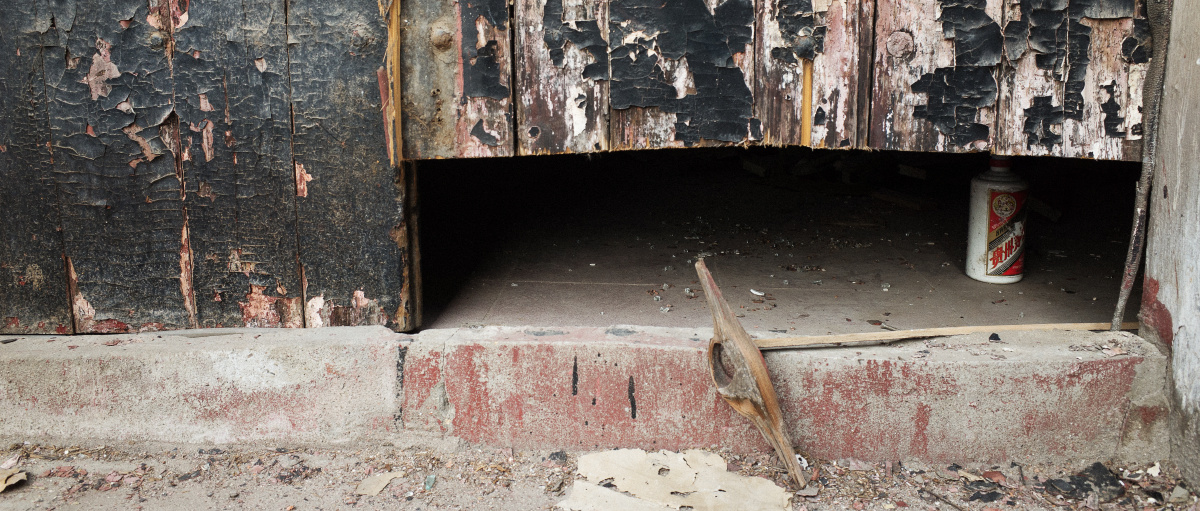 600.103.sh.cn - 上海, 城市 - 水茱萸seven