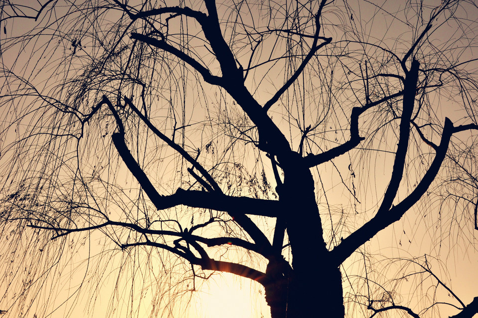 失去了你流浪只是逃避 - 水见水开胡小 - 图虫摄