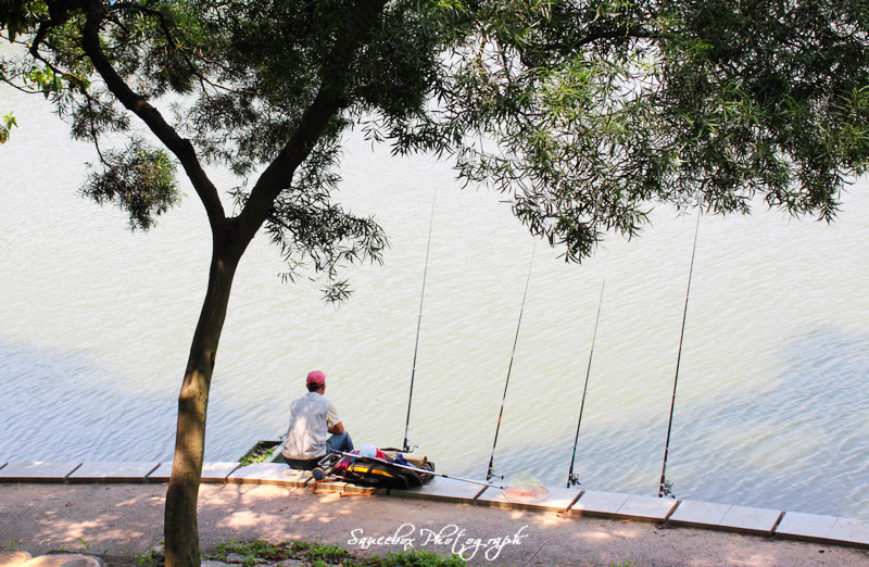 坐观垂钓者,徒有羡鱼情 - Saucebox