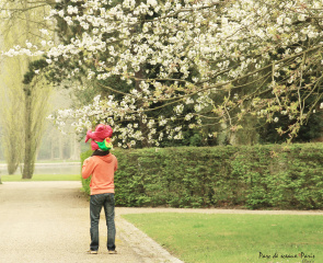 樱花公园 Parc de sceaux