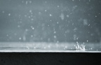 IMG_8483-1