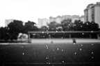 DSC03603-1-2