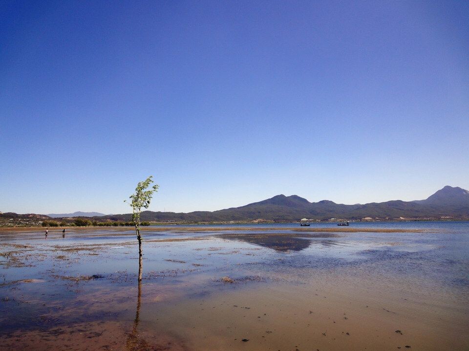 拉市海