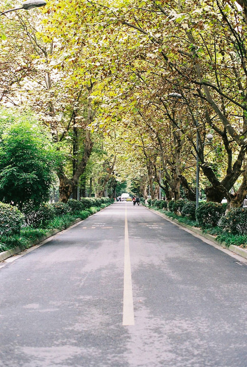去年到成都办事时捏的，川大北门通往体育场的校干道，路名未知 PENTAX Super program + SMC PENTAX A50mm F1.4 + Fuji Superia 200 (2)