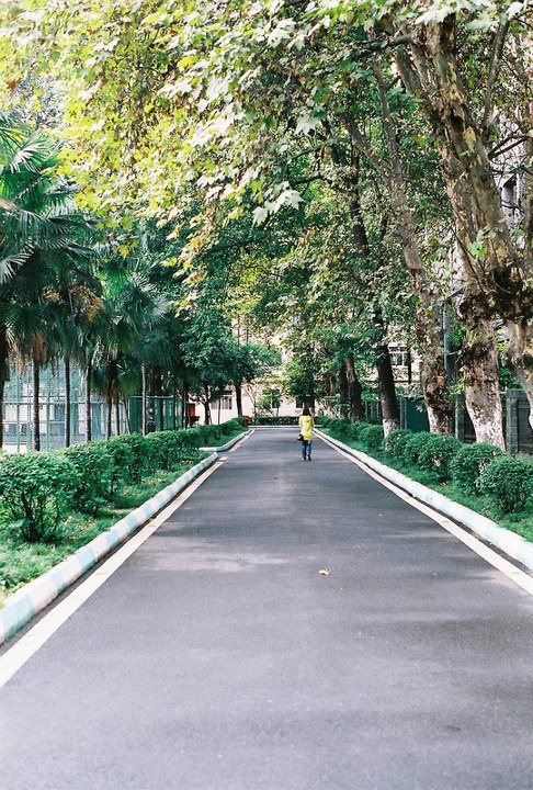 去年到成都办事时，到西南民族学院武侯祠老校区会友人时捏的 PENTAX Super program + SMC PENTAX A50mm F1.4 + Fuji Superia 200