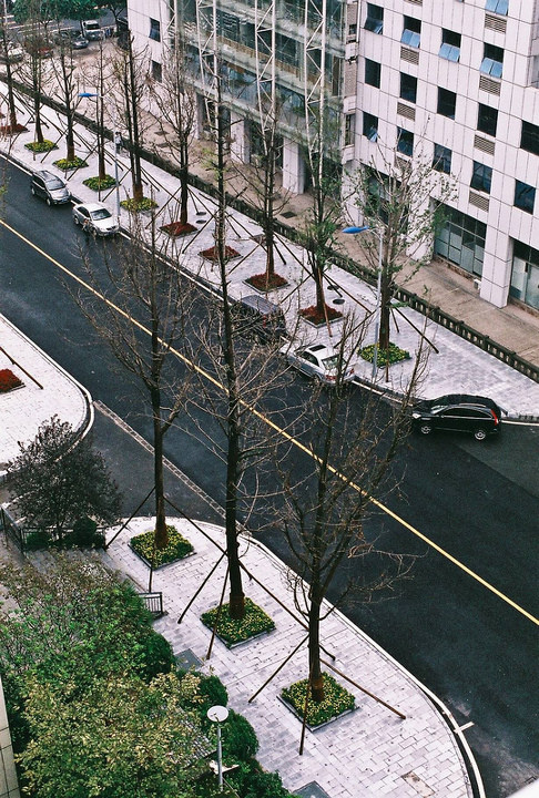 试镜照二，单位阳台楼下的“米兰街”，囧  PENTAX Super program + SMC PENTAX A50mm F1.4 + Fuji Superia 200
