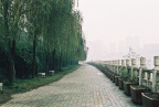 北滨路 PENTAX Super program + SMC PENTAX A50mm F1.4 + Fuji Superia 200