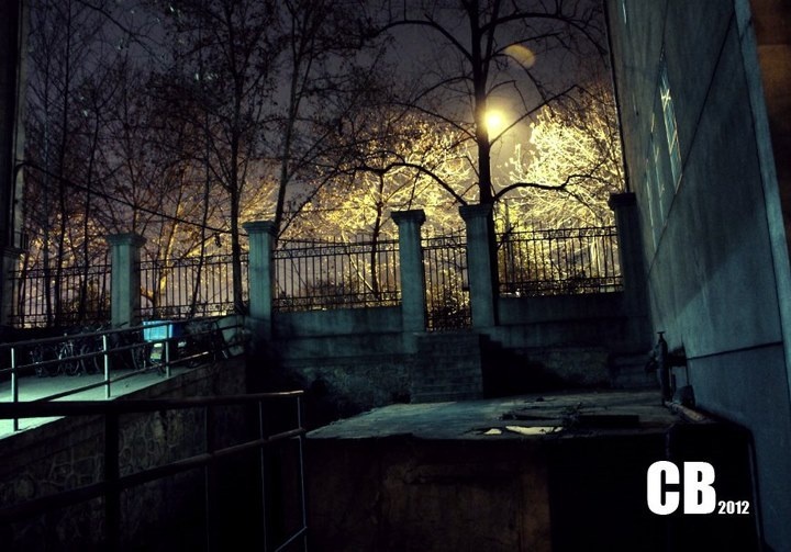 2012年2月到4月的入门照片 - 一夜五次郎 - 图虫