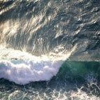 海
