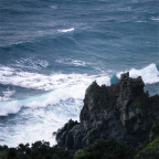 海