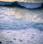 海