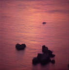 海