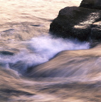 海