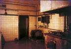 红叶李.亭
