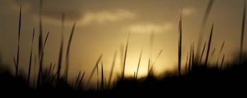 夕阳