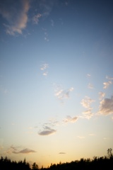 夕阳