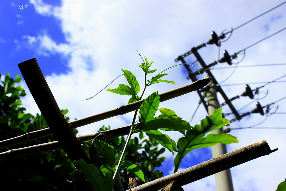 I believe I can touch the sky - -Drink牛奶