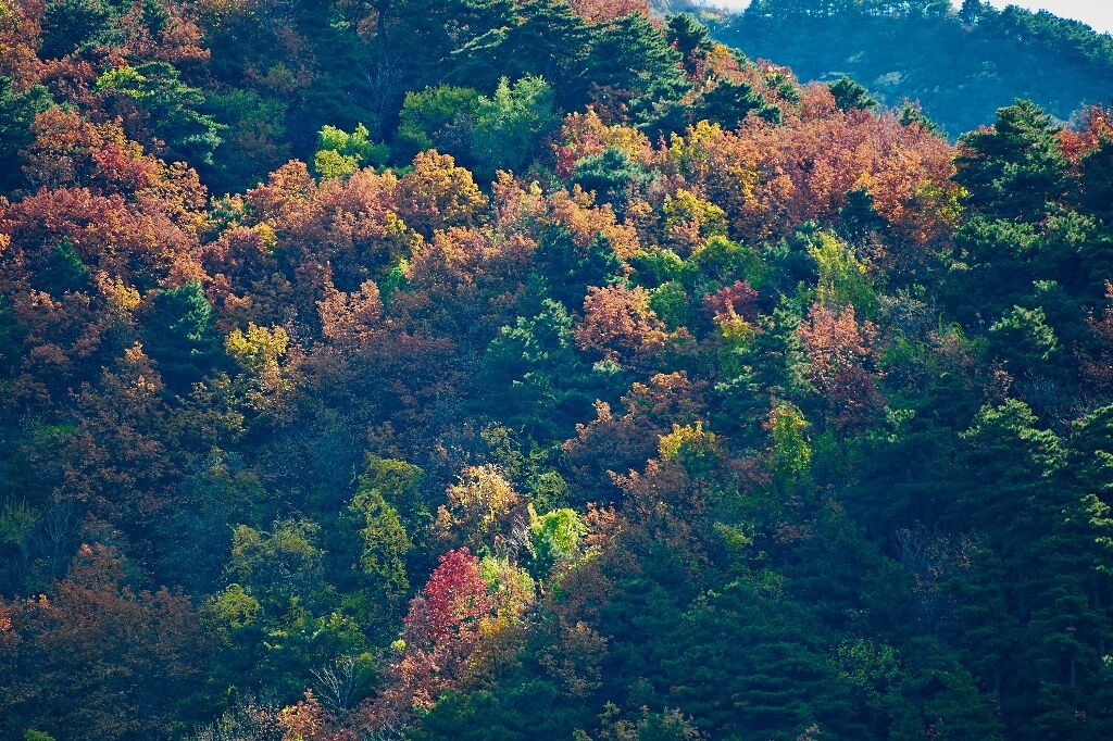 秋山 风光 秋山 新白龙马 图虫摄影网