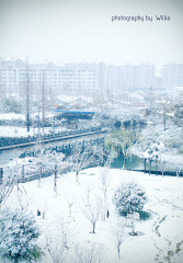 学校