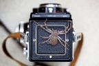 Huntsman & Rollei