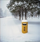 Fuji-Superia-100-05