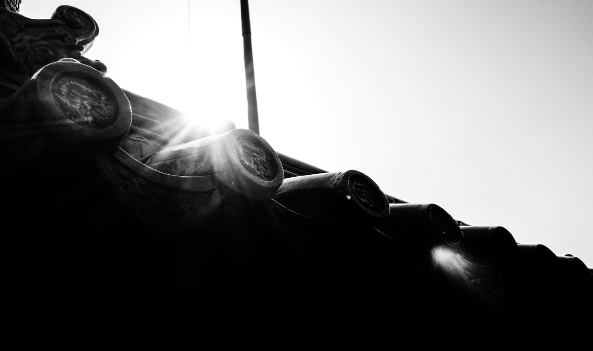 4569-02068 - long418