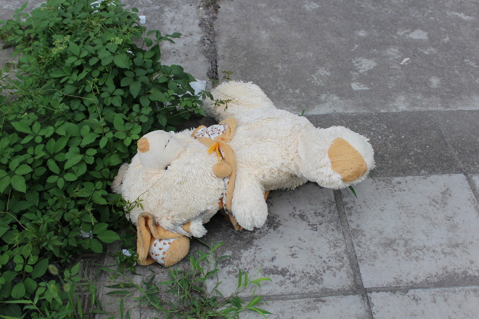 被丢弃的小熊 - hello安逸 - 图虫摄影网