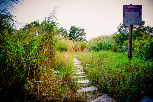 丿Muffin丶灵江灬