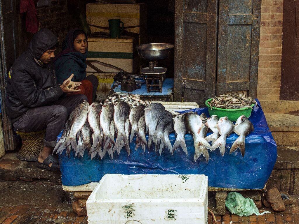 14菜市场卖鱼的小贩 - 我们都是小商小贩 . 记录