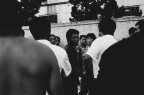 集体上FANG的