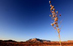Guadalupe Mountains 国家公园