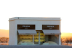 荒野中的prada