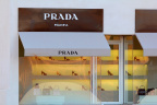 荒野中的prada