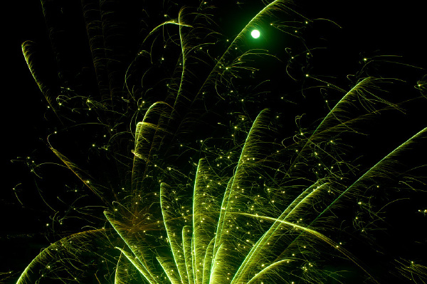20120206-IMG_3077