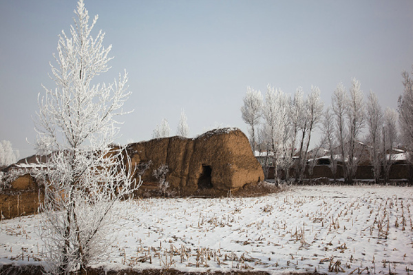 20091128-IMG_1781_1